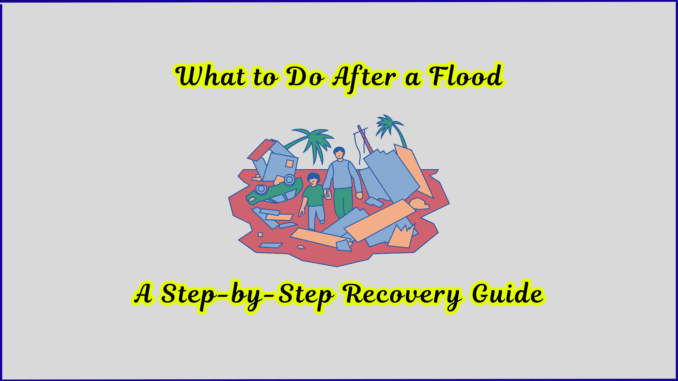 What to Do After a Flood A Step-by-Step Recovery Guide